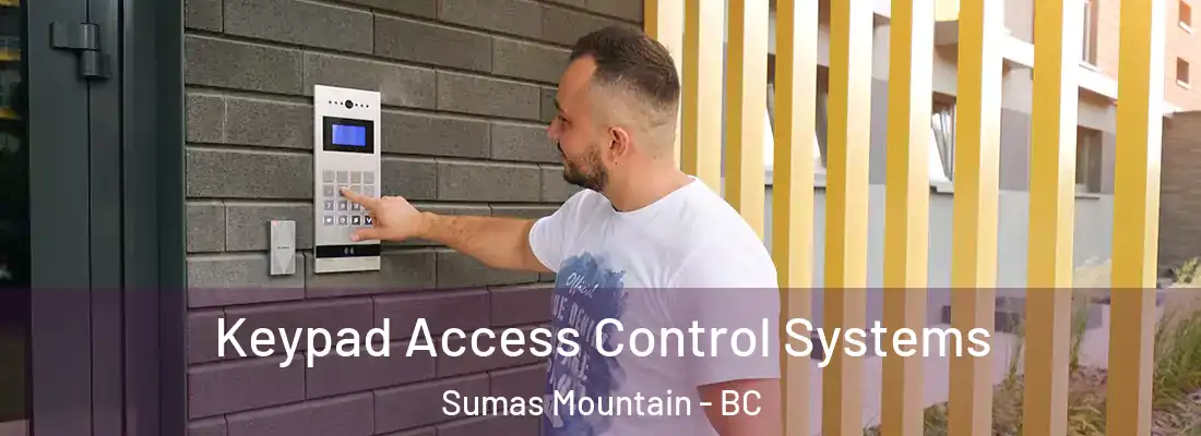  Keypad Access Control Systems Sumas Mountain - BC