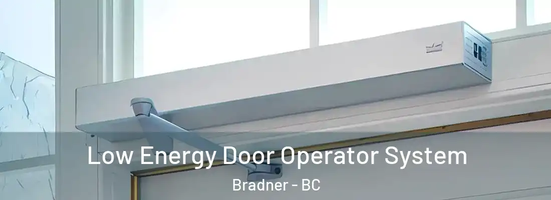  Low Energy Door Operator System Bradner - BC