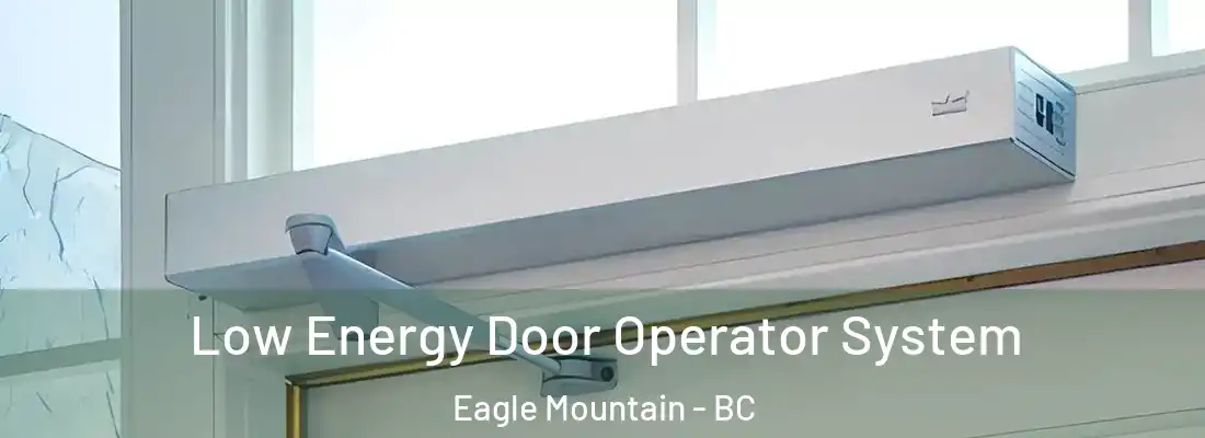  Low Energy Door Operator System Eagle Mountain - BC