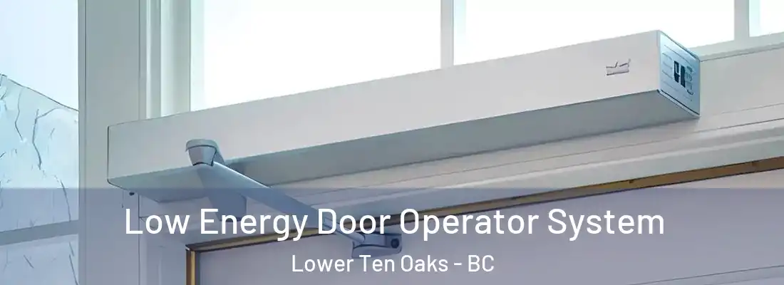  Low Energy Door Operator System Lower Ten Oaks - BC