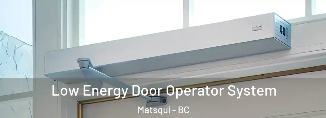 Low Energy Door Operator System Matsqui - BC