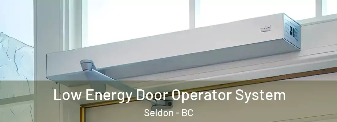  Low Energy Door Operator System Seldon - BC