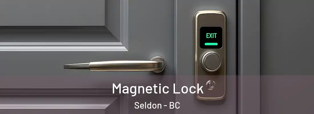  Magnetic Lock Seldon - BC