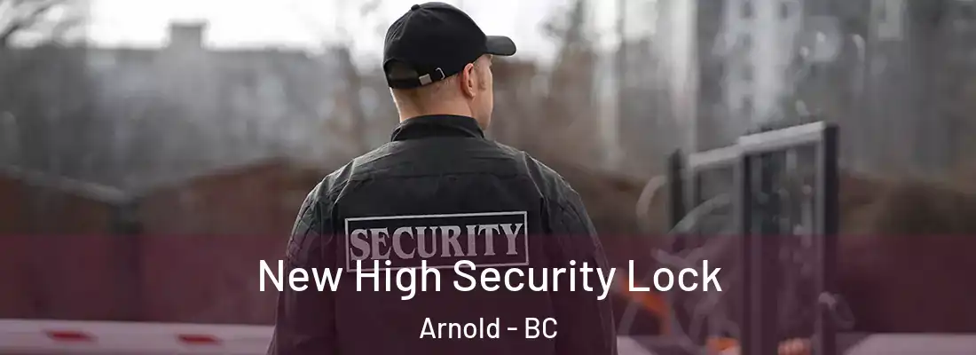  New High Security Lock Arnold - BC