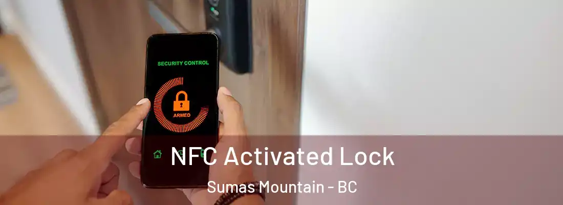  NFC Activated Lock Sumas Mountain - BC