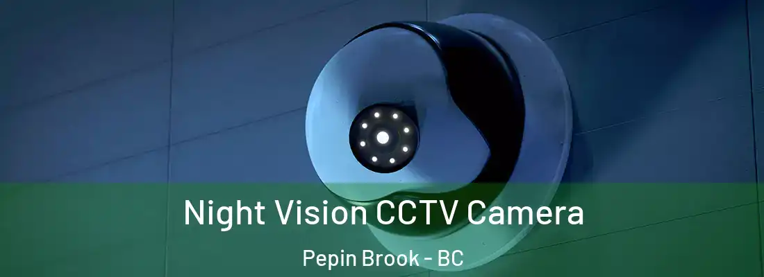  Night Vision CCTV Camera Pepin Brook - BC
