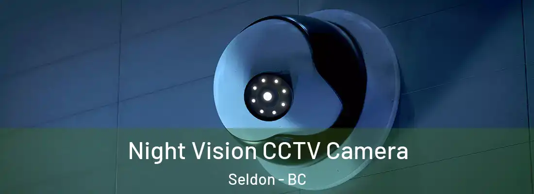  Night Vision CCTV Camera Seldon - BC