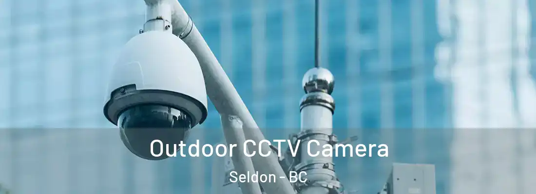  Outdoor CCTV Camera Seldon - BC