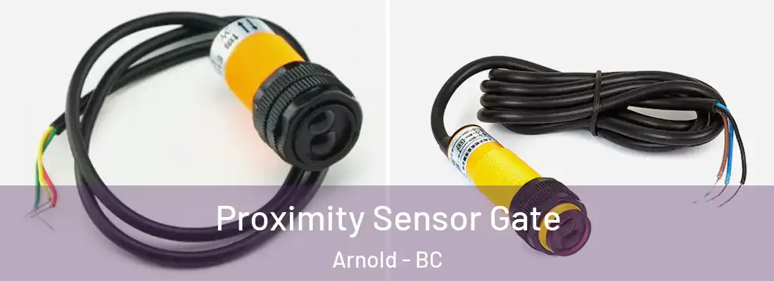 Proximity Sensor Gate Arnold - BC