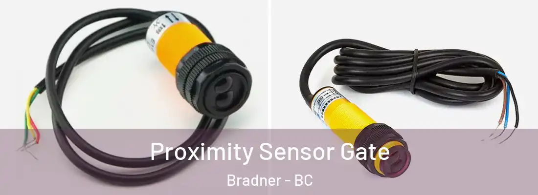  Proximity Sensor Gate Bradner - BC