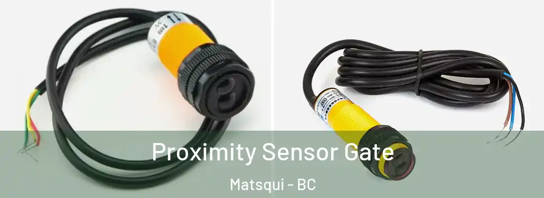  Proximity Sensor Gate Matsqui - BC