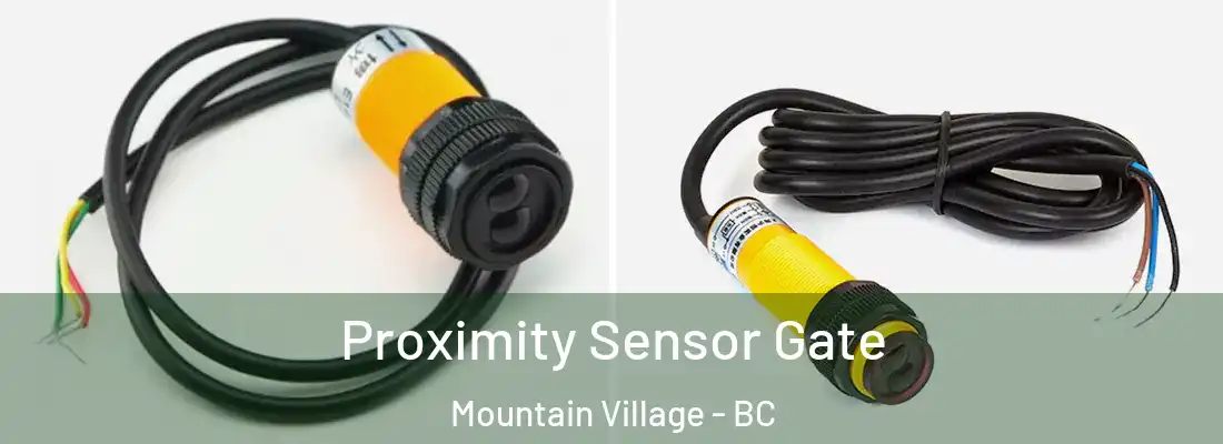  Proximity Sensor Gate Mountain Village - BC