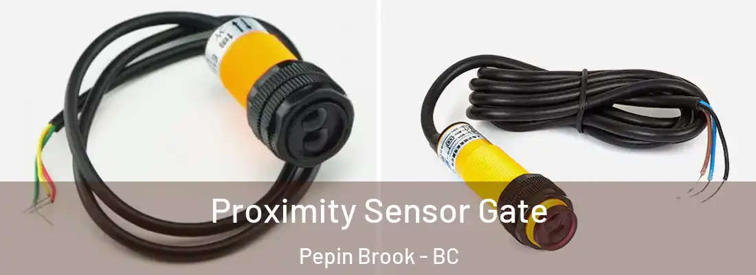 Proximity Sensor Gate Pepin Brook - BC