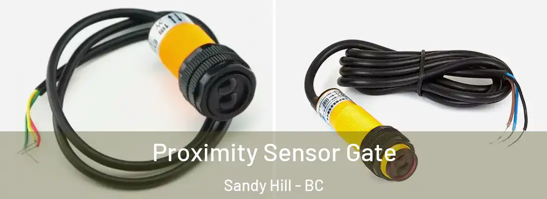  Proximity Sensor Gate Sandy Hill - BC