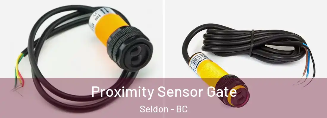  Proximity Sensor Gate Seldon - BC