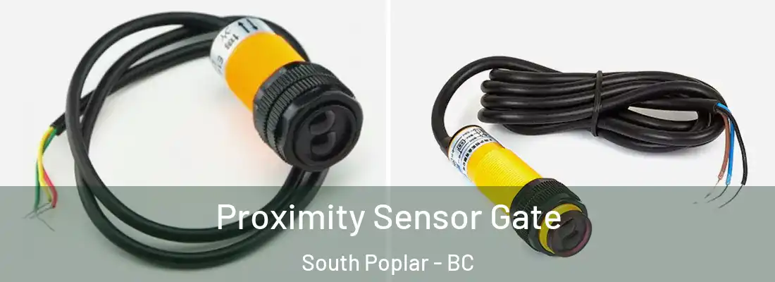  Proximity Sensor Gate South Poplar - BC