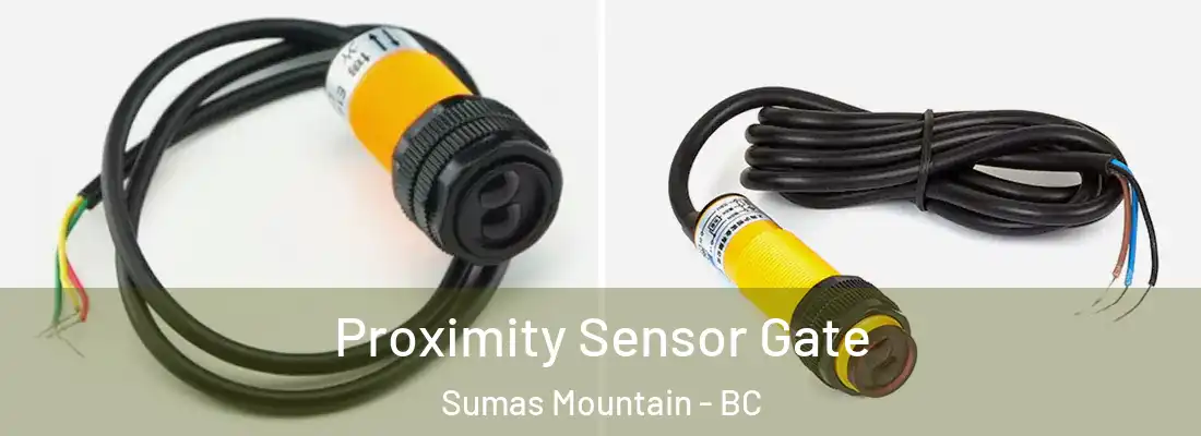  Proximity Sensor Gate Sumas Mountain - BC