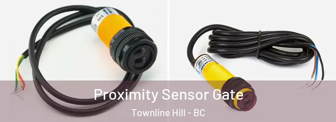  Proximity Sensor Gate Townline Hill - BC