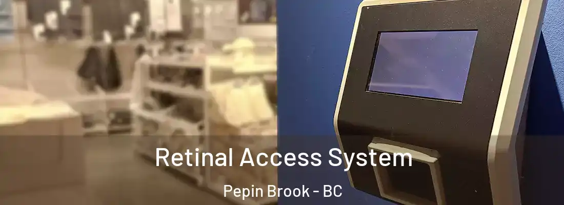  Retinal Access System Pepin Brook - BC