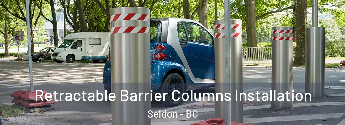  Retractable Barrier Columns Installation Seldon - BC