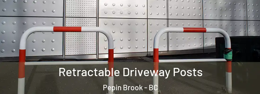  Retractable Driveway Posts Pepin Brook - BC