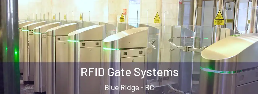  RFID Gate Systems Blue Ridge - BC