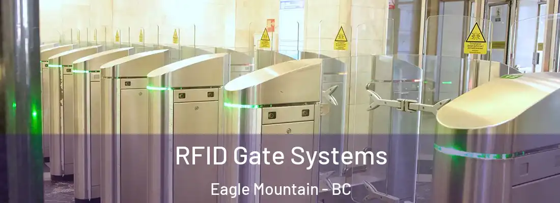  RFID Gate Systems Eagle Mountain - BC