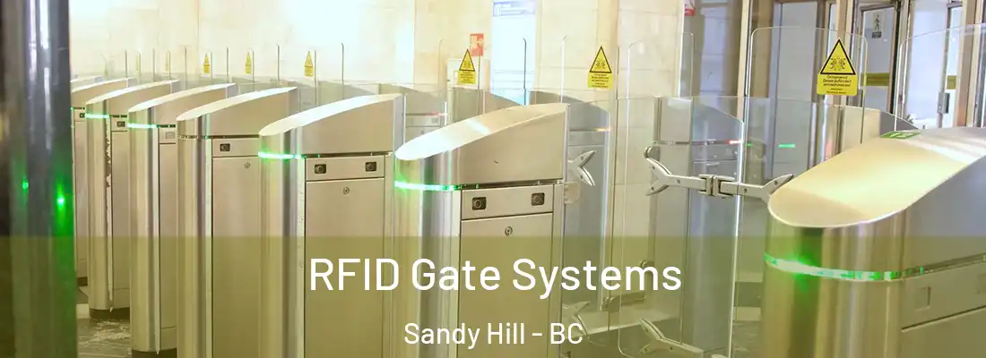  RFID Gate Systems Sandy Hill - BC