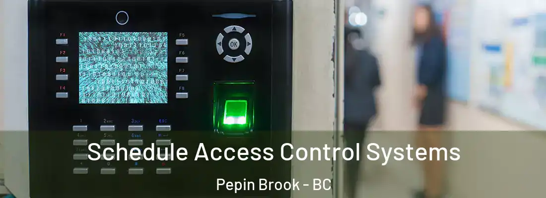  Schedule Access Control Systems Pepin Brook - BC