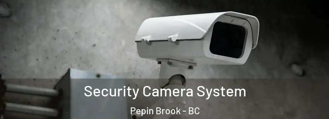  Security Camera System Pepin Brook - BC