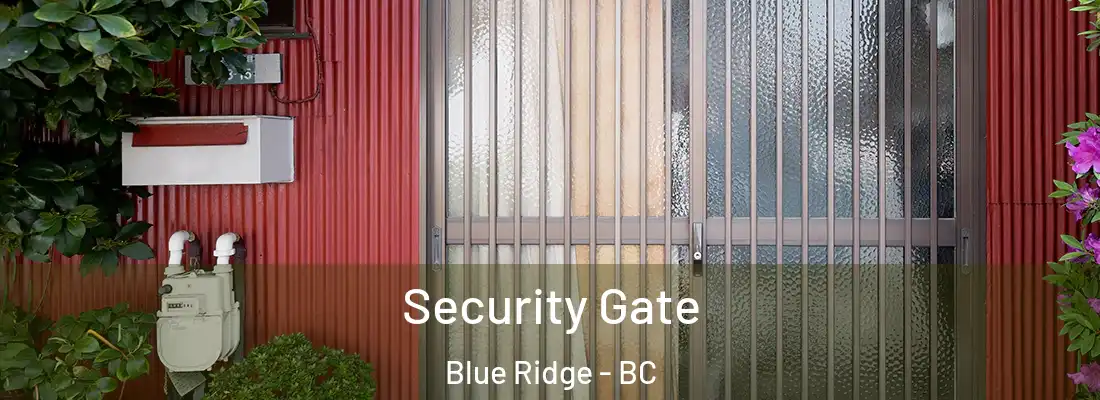  Security Gate Blue Ridge - BC