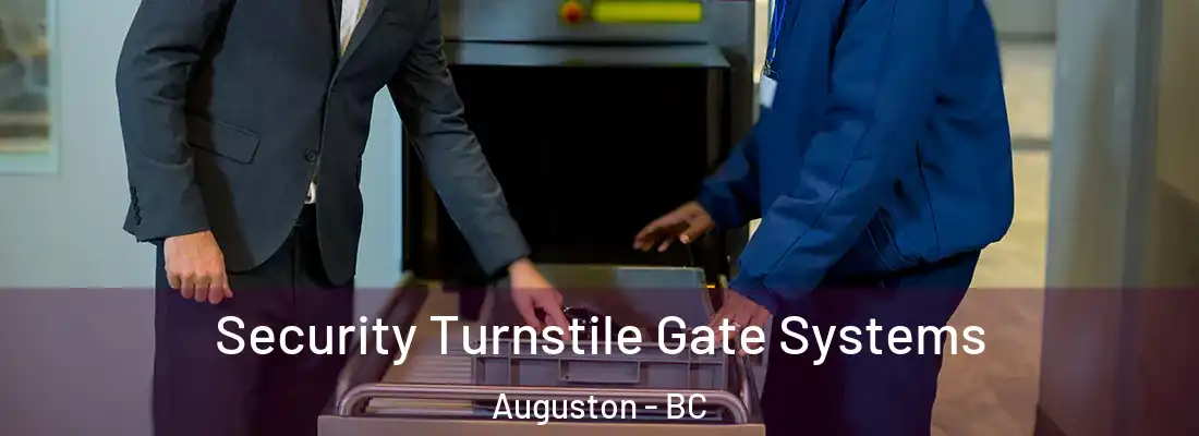  Security Turnstile Gate Systems Auguston - BC
