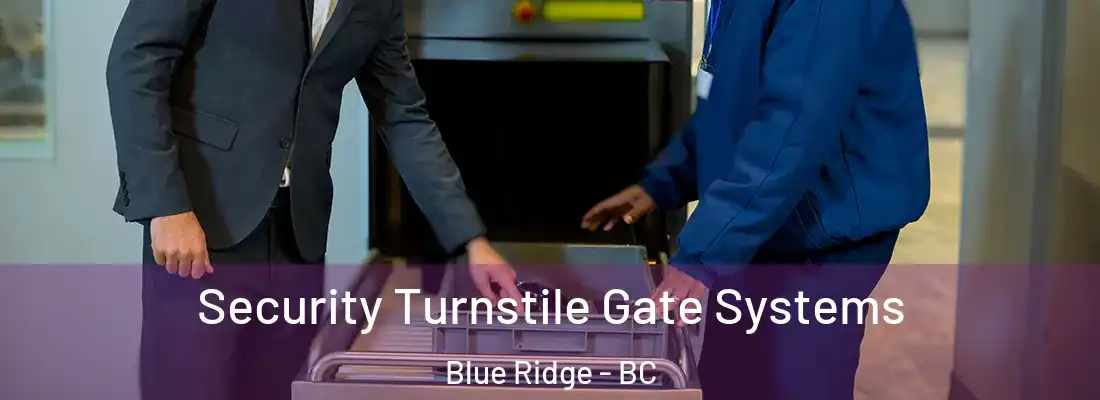  Security Turnstile Gate Systems Blue Ridge - BC