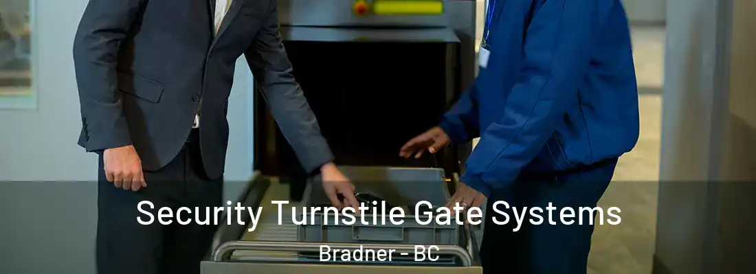  Security Turnstile Gate Systems Bradner - BC