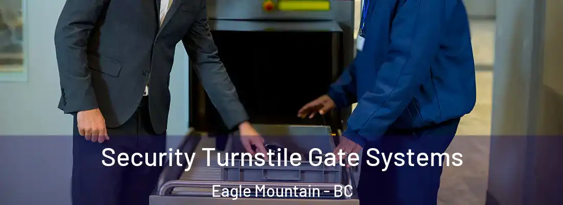  Security Turnstile Gate Systems Eagle Mountain - BC