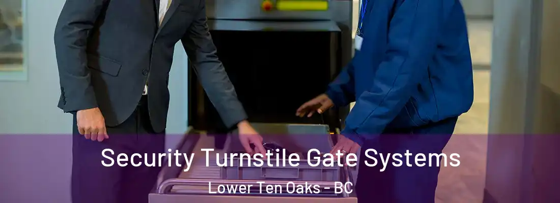  Security Turnstile Gate Systems Lower Ten Oaks - BC