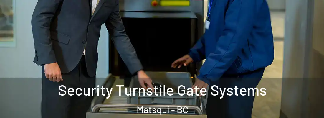  Security Turnstile Gate Systems Matsqui - BC