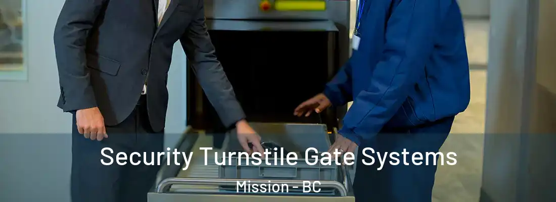  Security Turnstile Gate Systems Mission - BC