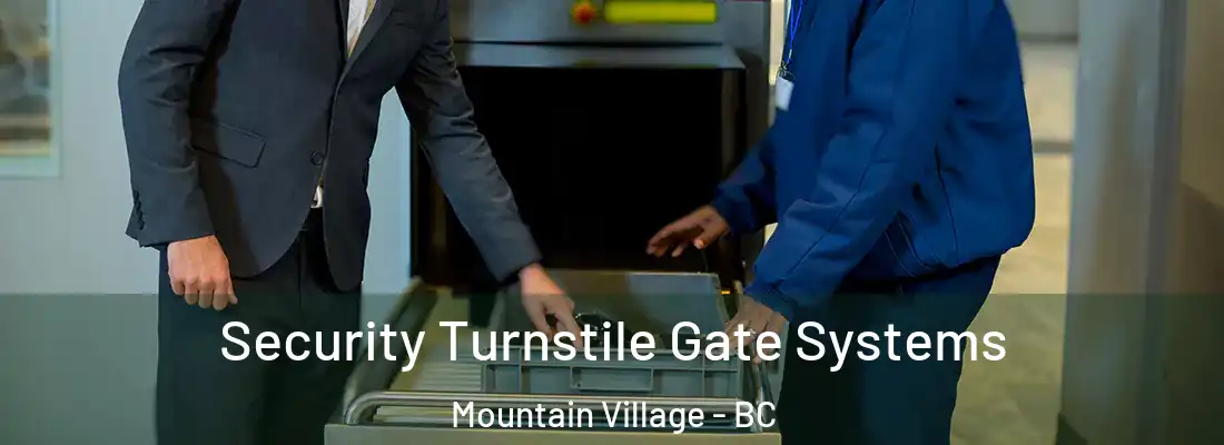  Security Turnstile Gate Systems Mountain Village - BC