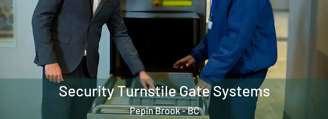  Security Turnstile Gate Systems Pepin Brook - BC