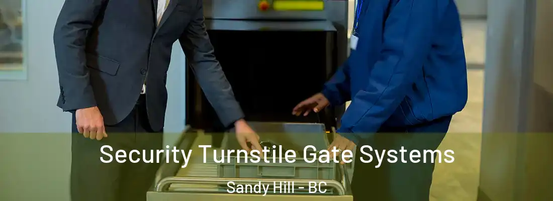  Security Turnstile Gate Systems Sandy Hill - BC