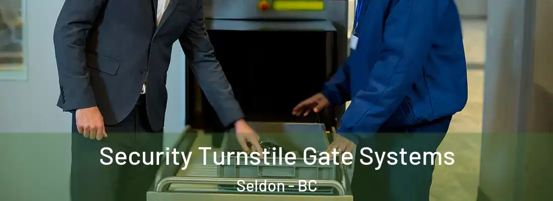  Security Turnstile Gate Systems Seldon - BC