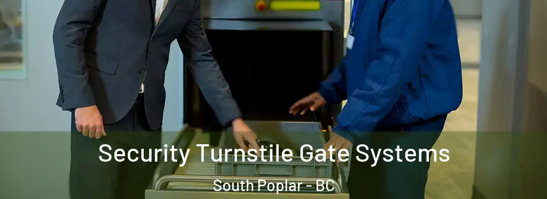 Security Turnstile Gate Systems South Poplar - BC