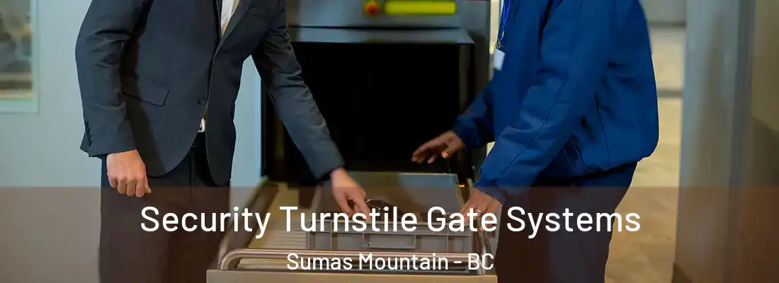  Security Turnstile Gate Systems Sumas Mountain - BC