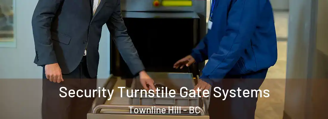  Security Turnstile Gate Systems Townline Hill - BC