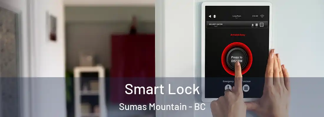  Smart Lock Sumas Mountain - BC