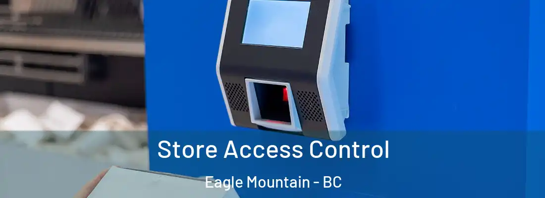  Store Access Control Eagle Mountain - BC