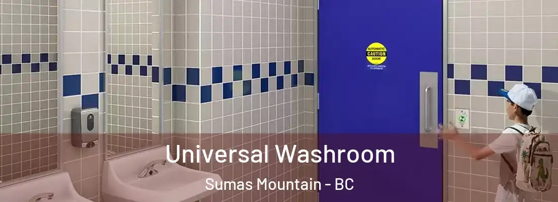  Universal Washroom Sumas Mountain - BC
