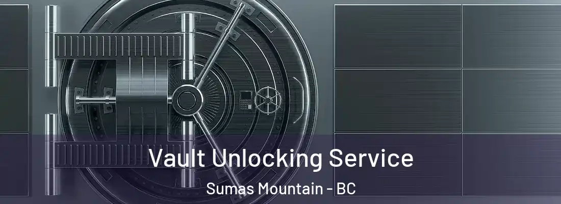  Vault Unlocking Service Sumas Mountain - BC